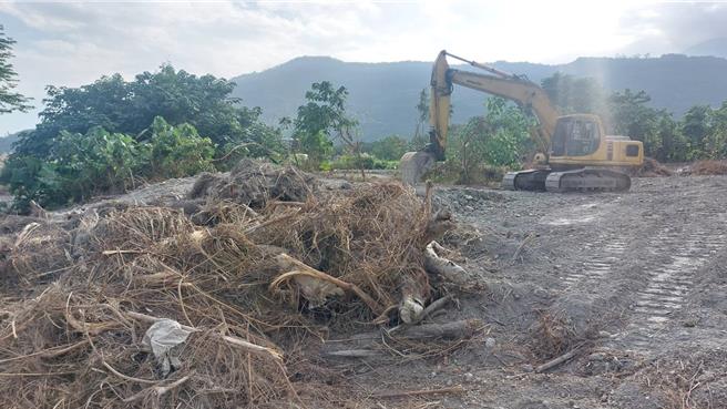 林业署花莲分署移除木瓜溪高滩地银合欢，以往採现地堆置处理。（林业署花莲分署提供／王志伟花莲传真）