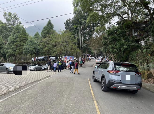 梅嶺梅花季近尾聲，每逢假日仍有大批人車上山賞梅。（讀者提供／程炳璋台南傳真）