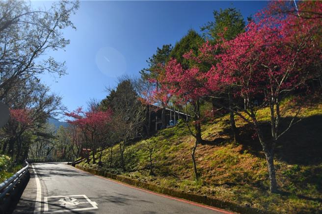 因应农历春节到来，交通部公路局南区养护工程分局甲仙工务段为使用路人春节出游能规画更优质的南横公路旅游行程，南横公路梅山口至向阳路段，于2月8日及2月13日共两日取消管制通行。(公路总局甲仙工务段提供／林雅惠传真）