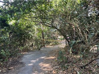 高雄柴山大道樹林中「驚見男屍」 巡山員嚇壞急報案
