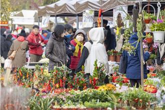 金門林務所新春假日花市登場 結合書法與公益增添春節氣息