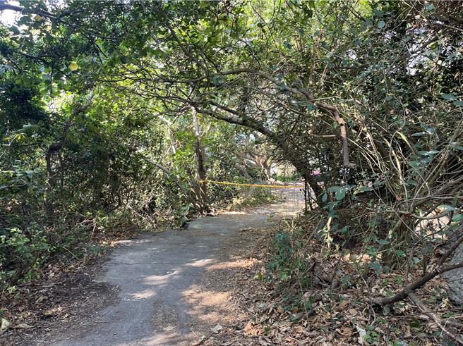 1名男子陈尸于柴山大道旁树林内，详细死因待厘清。（翻摄照片／洪靖宜高雄传真）