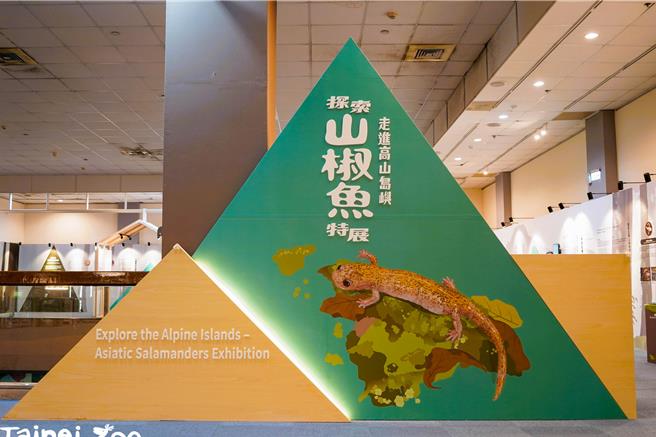 台北市立动物园与内政部国家公园署、农业部林业及自然保育署、农业部生物多样性研究所、国立臺湾大学共同合作，27日于教育中心共同推出「走进高山岛屿-探索山椒鱼」全新特展。(黄敬文翻摄)