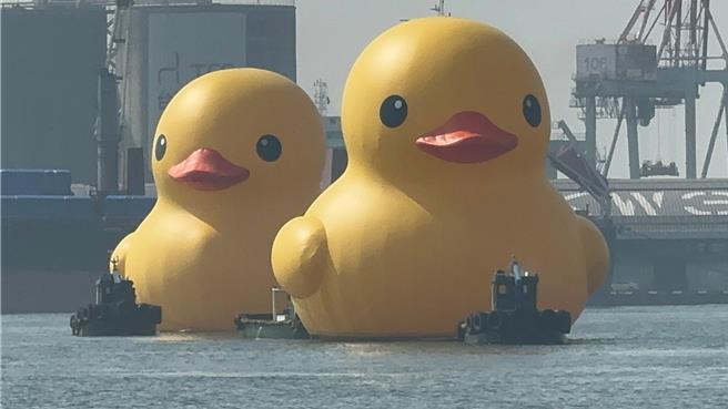 荷兰艺术家霍夫曼所创作的2只黄色小鸭今（27）日早上在「水门礼」高规格迎接下，重返高雄爱河湾。（柯宗纬摄）