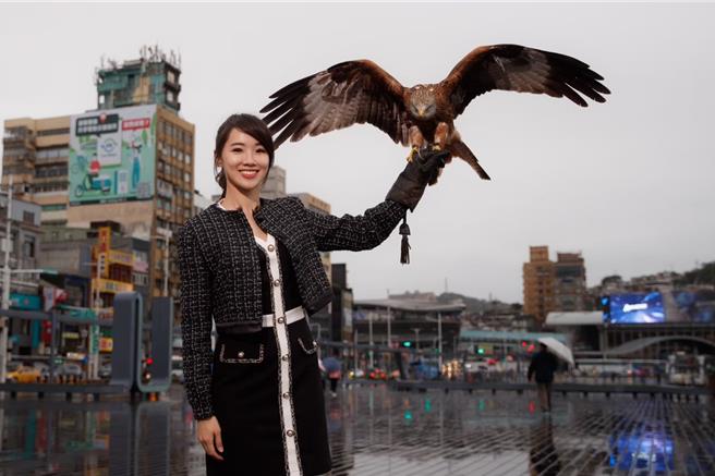 外形亮丽的基隆市议员许睿慈为行销基隆及挹注资源给独居长者及弱势妇幼，今年与猛禽们合照拍年历，被说是「美女与野兽」的组合，民眾只要捐299元给「基隆市高龄长者曁妇幼关怀协会」就能换限量年历。（许睿慈办公室提供／徐佑升基隆传真）