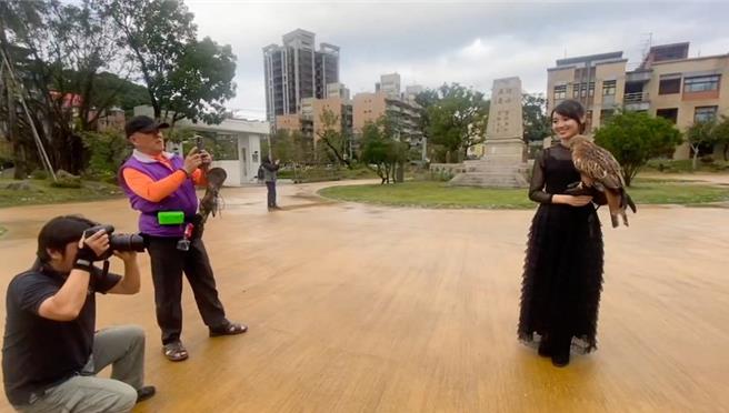 外形亮丽的基隆市议员许睿慈为行销基隆及挹注资源给独居长者及弱势妇幼，今年与猛禽们合照拍年历，被说是「美女与野兽」的组合。但老鹰们生性凶猛，在拍摄时需培养感情，并有专业的训练师指导，图为拍摄花絮。（翻摄画面／徐佑升基隆传真）