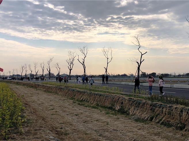 「東西向快速公路台76線台19線以西延伸工程」文津至西庄路段完工，一早上千鄉親齊聚，以路跑方式歡慶通車。（彰化縣政府提供／吳建輝彰化傳真）