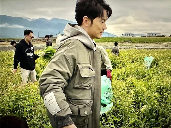 宥勝和家人一起參加友善耕作活動，一起拔蘿波。（民眾提供／王志偉花蓮傳真）