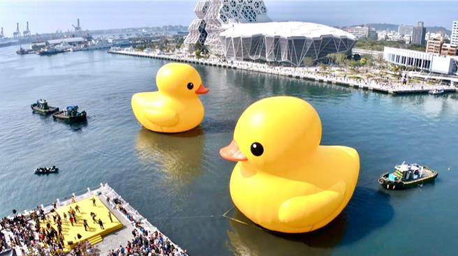 觀光局說明，霍夫曼所創作的黃色小鴨今天如期順利充氣，已在愛河灣展出。（柯宗緯翻攝）