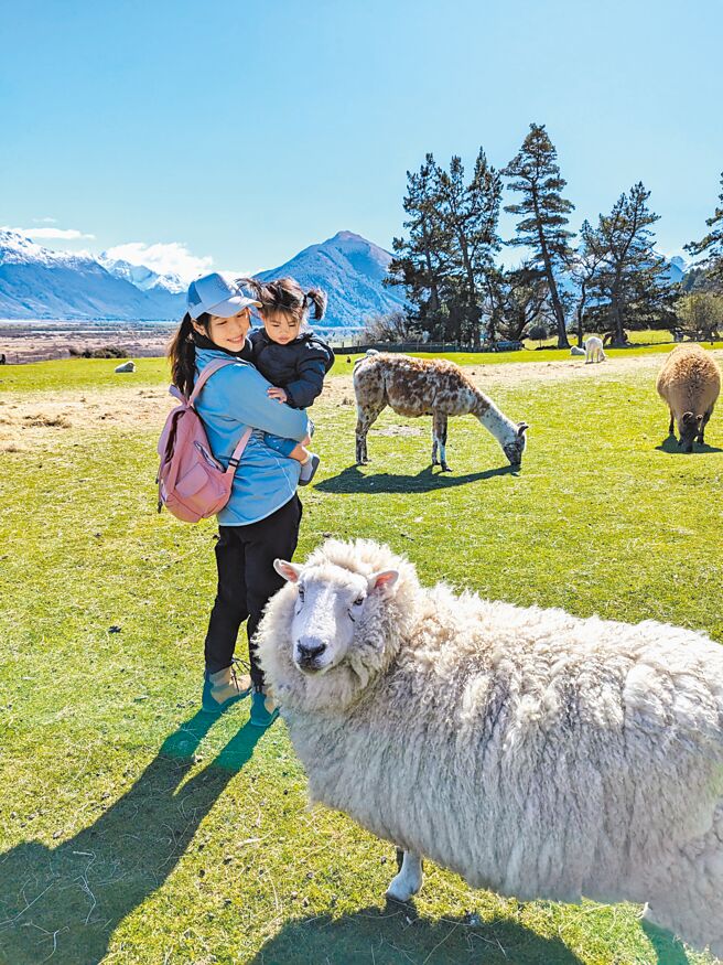 Winny帶著2歲女兒去紐西蘭看綿羊。（凱特經紀提供）