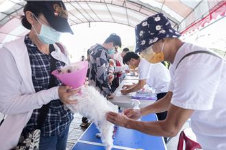 保護毛孩子 尖石五峰「這2天」免費開打狂犬疫苗