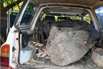 山老鼠竊木曝光棄車逃亡 查扣珍貴木3百公斤移送法辦