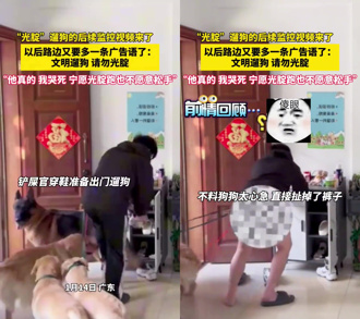 男子牽4隻狗出門蹓躂 在玄關穿鞋…下秒狗狗爆衝慘了！