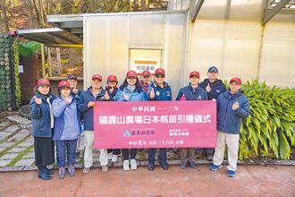 台中 時隔30年 福壽山引進日本新種果樹