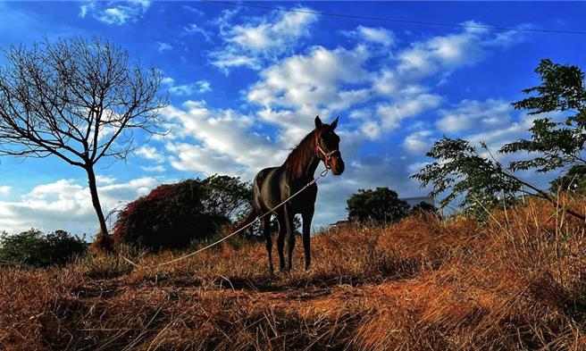 郑姓正妹人妻怀胎9月时发现老公出轨，还送小三简姓女子价值12万元的宝格丽项炼，郑女为此挺着大肚子下跪挽回婚姻，却换来老公拳脚相向，还得独自扛起房贷、家庭开销等重担。郑女心碎离婚后怒告小三求偿30万元，一审全数判准。简女不服上诉还哭穷，法官发现她家境根本优渥，不但住豪宅开名车，还养专属的马，平时还会品酒、搭商务舱出国、住高级饭店，最后驳回简女之诉定谳。（式意图，本报资料照片）