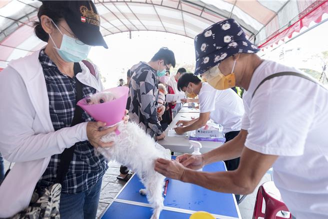 新竹县动物保护防疫所2月1日及6日上午10时至12时分别于尖石乡中正堂、五峰乡日照活动中心，提供免费动物狂犬病预防注射及宠物登记服务。（罗浚滨摄）