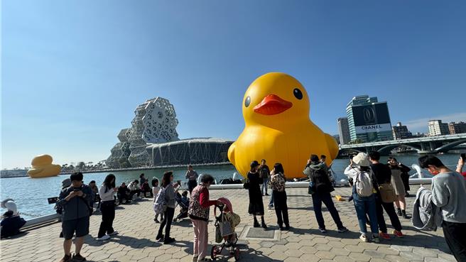 今天是黄色小鸭展出的首个平日，本报下午到爱河湾观察，虽然午后艷阳高照，但游客兴致不减，不乏家庭亲子、放寒假的学子，也有国外游客前来，大家争相跟小鸭拍照。（柯宗纬摄）
