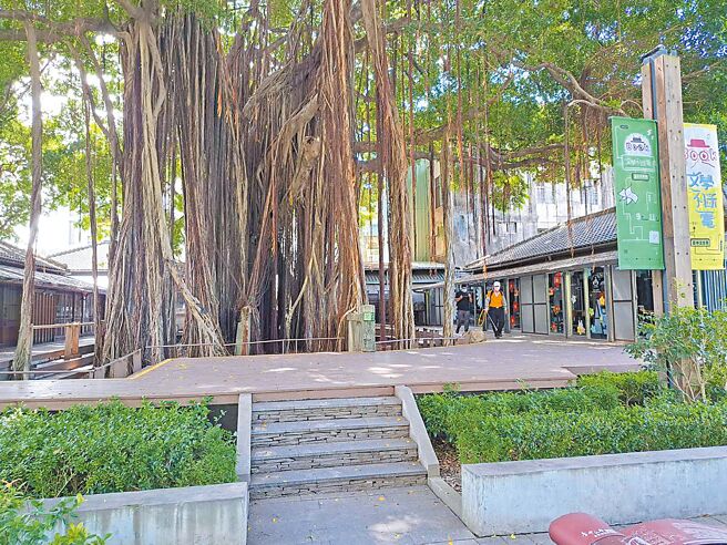 位于台中市西区乐群街46巷1号的老榕树，已成为台中文学馆园区的重要景观。（台中市农业局提供／陈淑娥台中传真）