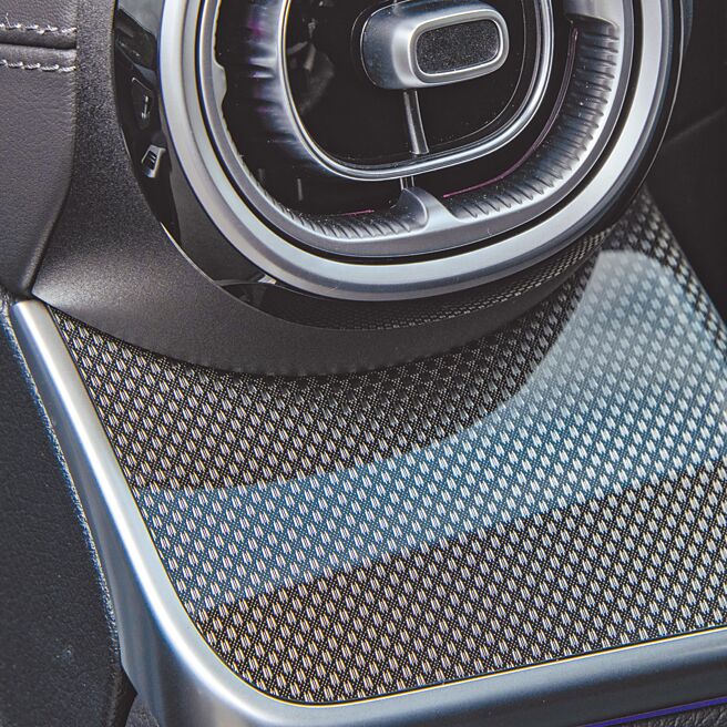 內裝飾板有相當細緻的紋路。（陳大任攝）