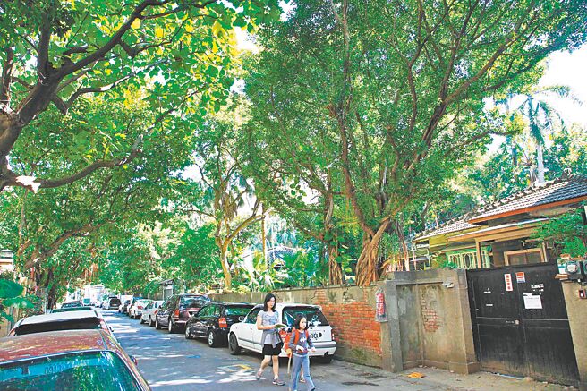 青田街是带有诗意的常绿街廓。（本报资料照片）