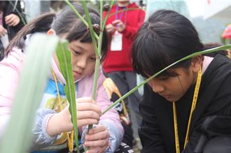 偏鄉部落小學不用打工換宿 用文化體驗換宿