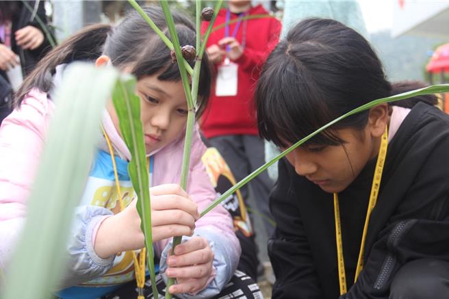台東縣延平鄉武陵國小接待新北市中正國小與崇光中學營隊服務學生。（武陵國小提供／蔡旻妤台東傳真）