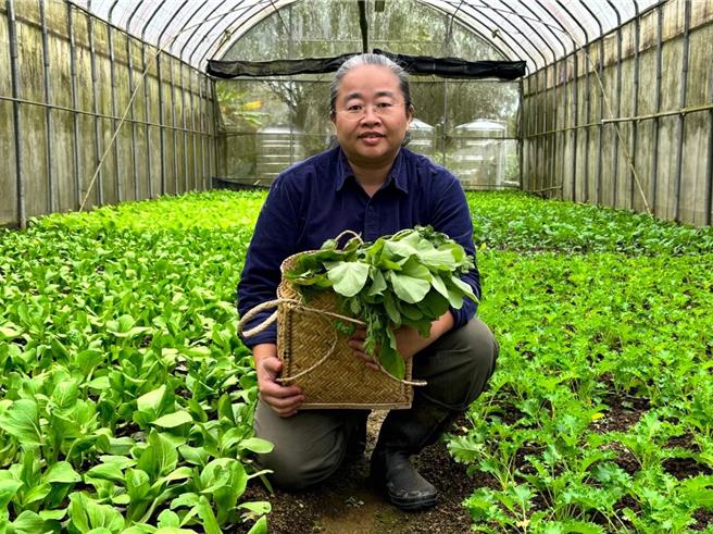 从事建筑业的陈珊宇，靠着产业人才投资方案的课程进修，成功转战有机农业。（劳动力发展署桃竹苗分署提供／邱立雅竹县传真）