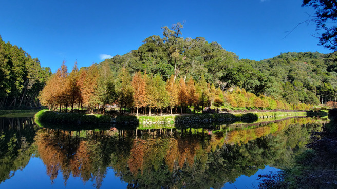 网友好奇，台湾有没有一生至少要去1次的景点，引起讨论。图为杉林溪森林生态渡假园区。（图／黄朝郁摄）