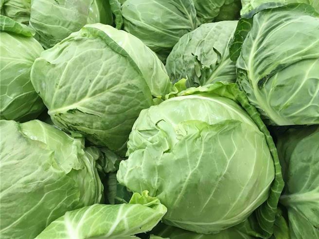 受1月下旬寒流影響，造成農業災情，前五大受損農作物包括甘藍（高麗菜）、蓮霧、桃、桶柑和結球白菜。圖為高麗菜。（示意圖：shutterstock／達志）