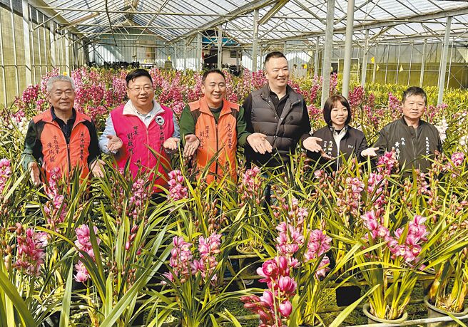 魚池鄉是虎頭蘭的主要產區，鄉長劉啟帆（左二）、鄉代會副主席王若嵐（右二）、代表黃志卿（右一）、農會理事長劉啟行（左三）、總幹事王威文（右三）及常務監事陳炳韶（左一）邀民眾到產地選購應景花卉。（楊靜茹攝）