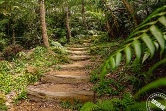 家山味！轻松漫步微笑山线 发现新北山林之美