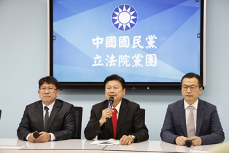 民眾黨推黃珊珊爭立院龍頭 國民黨樂見做忠誠反對黨