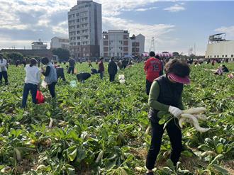 拔蘿蔔做愛心千人捐8萬 她拔5斤蘿蔔慷慨給2萬
