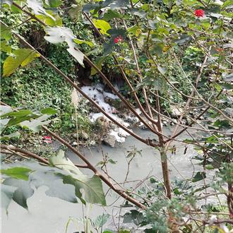 偷排泡沫廢水兇手抓到了！土城資收廠最重恐挨罰300萬元