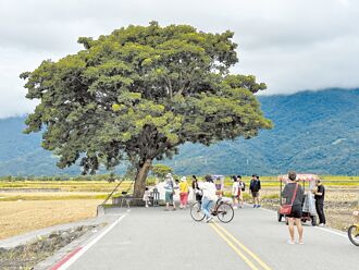 春節遊台東 疏運、搭車優惠報你知