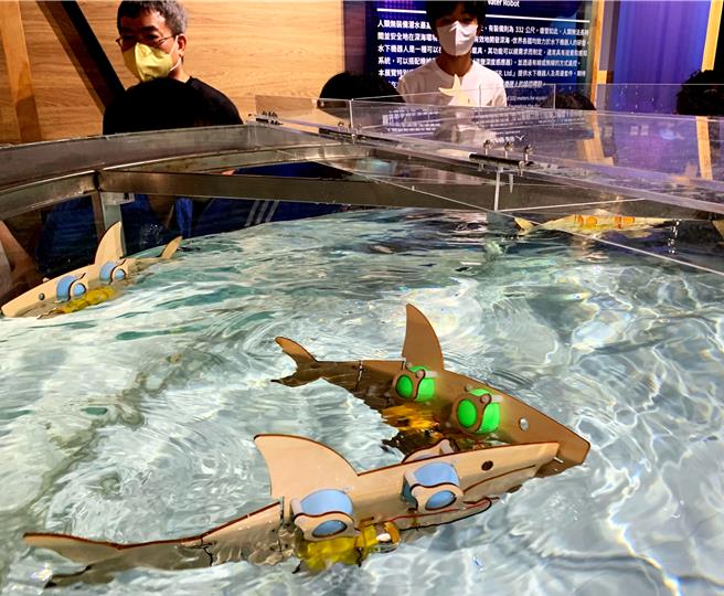 國立海科館在今年寒假與基隆市教育處合作推出「海洋職人體驗營」，吸引上百名學子共同參與。（國立海科館提供／張志康基隆傳真）