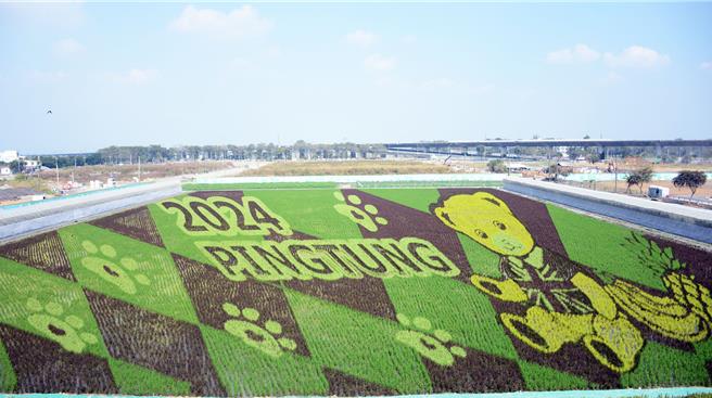 2024屏东热带农业博览会以经典泰迪熊为主题，最热门的彩绘稻田图案已经浮现。（林和生摄）