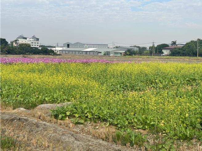 台中雾峰区高达7成土地被划入国土计画「农业发展地区」，预期未来限制严格，变更困难 ，引发农友抱怨。（市议员李天生提供／冯惠宜台中传真）