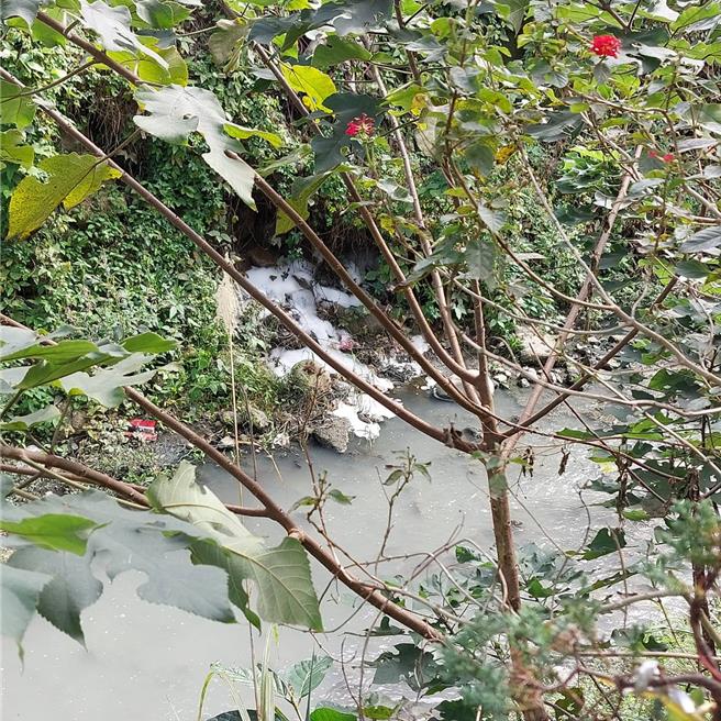 环保局稽查员发现山壁有泡沫残迹。（新北市环保局提供／刘玮晴新北传真）