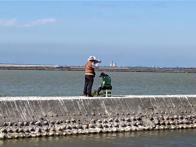 高雄鳥會呼籲民眾賞鳥、拍鳥應保持一定安全距離，不要驚擾鳥類。（高雄鳥會提供∕呂妍庭嘉義傳真）