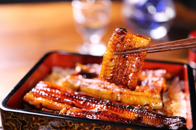 野生鳗鱼数量因过度捕捞、环境污染而锐减，鳗鱼料理售价日渐高昂。（示意图：shutterstock／达志）