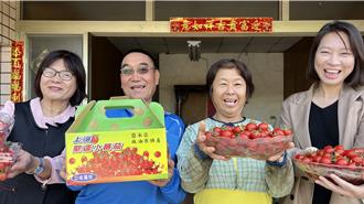 猴塞雷！ 台南鹽水番茄評鑑競賽 這對夫婦包下冠亞軍
