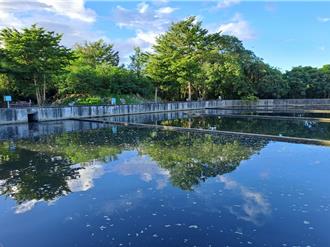 人工溼地不宜玩水 台東縣府揭露「因為這原因」
