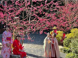 九族櫻花季登場 cosplay享入園優惠價抽東京來回機票