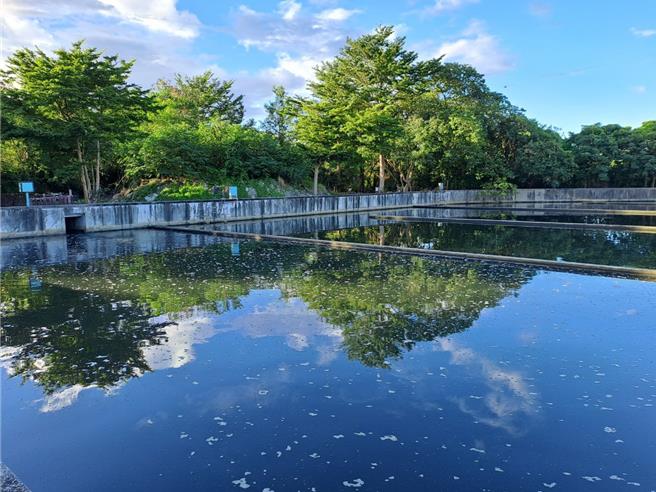 天然及人工溼地皆具有淨化水質、儲碳、營造生物棲地及氣候調適等功能。人工溼地照。（台東縣政府提供／蔡旻妤台東傳真）