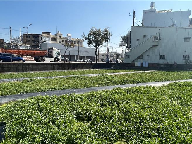 台中市大里区人口达21万，但都市计画土地不敷使用，非都市计画土地多但限制严格，地方抱怨阻碍发展，台中市议员李天生1日也批，大里非都计土地纳入夏田产业园区及大里扩大都市计画却迟迟无进展。（台中市议员李天生提供／潘虹恩台中传真）