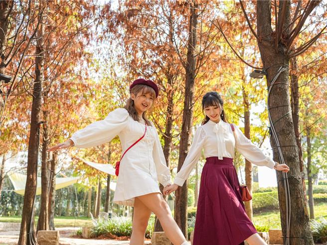 隱身在城堡內的落羽松林在季節交替呈現橘、紅交織的美景。（佐登妮絲城提供） 