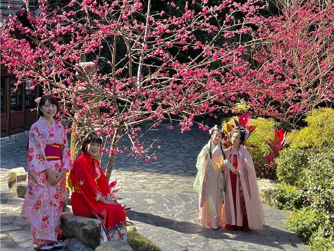 2024九族櫻花祭開羅，遊客17日、18日、24日、25日cosplay享2人1000元入園優惠價。（楊靜茹攝）