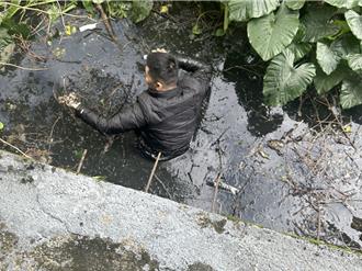 警方查緝毒品 嫌犯跳水溝逃逸卻卡泥成甕中鱉