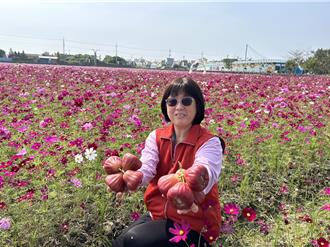 首屆蓮霧節3日登場 南州鄉公所：當天售價保證低於零售市價